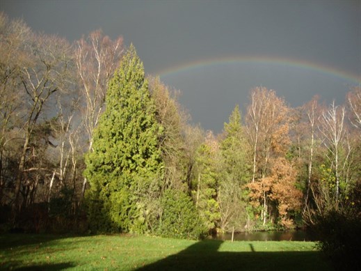 Sterksel Tuin Regenboog